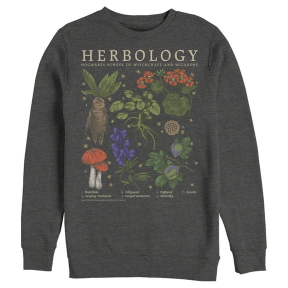 Men's Harry Potter Hogwarts Herbology  Sweatshirt Charcoal Heather X Large