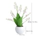 thumbnail image 3 of Simulated Wind Chime Grass Potted Plants Small Fresh Ins Wind Home Decoration Fake Flowers Potted Plants Simulated Valley, 3 of 6