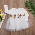 thumbnail image 3 of Toddler Baby Girl Spring Autumn Long Sleeve Knit Princess Dress Flower Party Wedding Tutu Dresses, 3 of 5