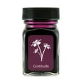 thumbnail image 2 of Monteverde Emotions Collection Ink Bottle - Gratitude, 2 of 4