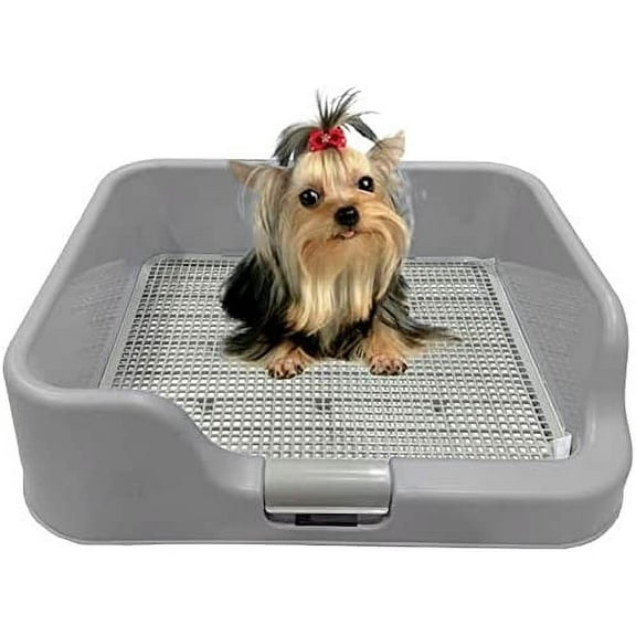 PS KOREA Indoor Dog Potty Tray - with Protection Wall Every Side for No Leak, Spill, Accident - Keep Paws Dry and Floors Clean (Grey)