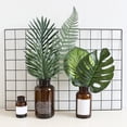 thumbnail image 3 of 5Pcs Nordic Style Simulation Turtle Leaves Photo Props Home Landscaping Decor, 3 of 10