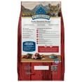 thumbnail image 3 of Blue Buffalo Wilderness Natural Dry Puppy Food, Red Meat & Whole Grains, 4.5-lb, 3 of 12