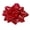 Metallic Red, variant on PMU Extra Large Gift Bow 13 Inch Red Lacquer Mega Bow for Cars, Birthday Presents, Christmas Presents, Large Gift Wrapping Pkg/1