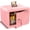 pink, variant on Mini Safe Small Safe Box Money Safe Small Safes for Home Dorm Mini Safes for Kids Safety Box for Cash Documents Kids Lock Box with Key Black (0.23 Cubic Feet)
