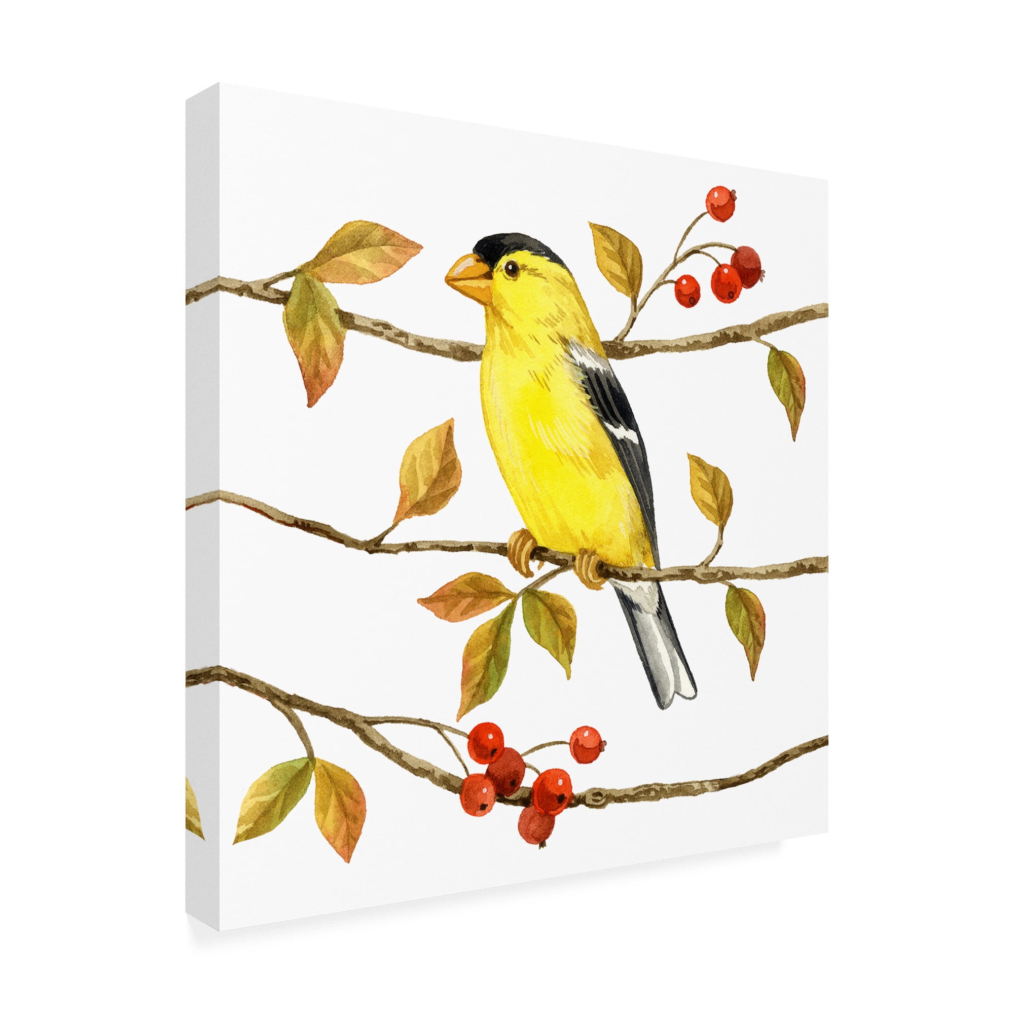 Trademark Fine Art 'Birds And Berries II' Canvas Art by Jane Maday