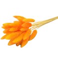 thumbnail image 1 of CAROOTU Fleurs Séchées Colorées Bouquet Éternel Fleurs Réelles pour Décoration Intérieure, 1 of 6