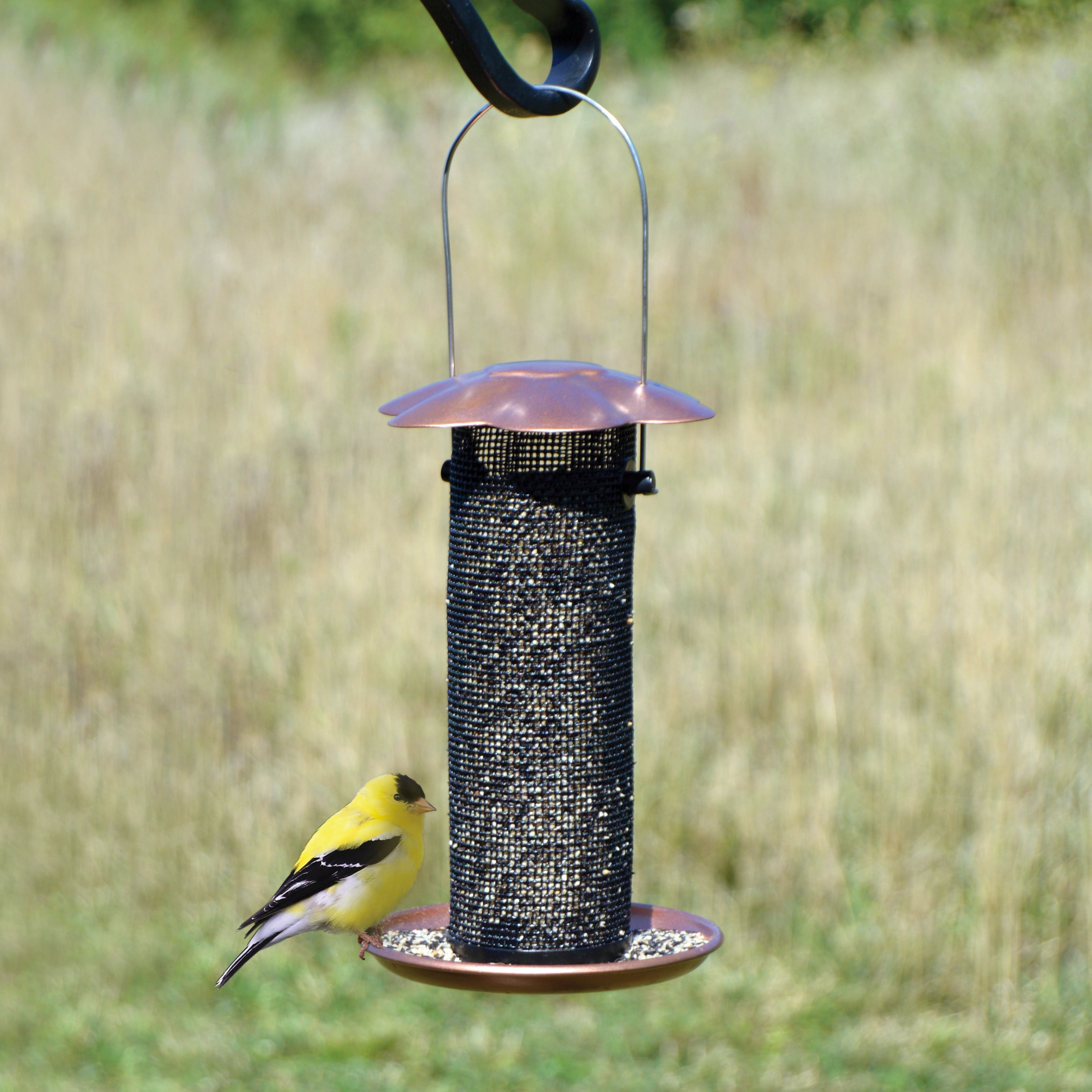 Songbird Essentials Bird Feeder Thistle Bird Seed Finch Feeder, Copper