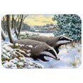 thumbnail image 1 of Carolines Treasures ASA2183CMT Winter Badgers Kitchen or Bath Mat, 20 x 30, 1 of 1
