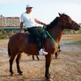 thumbnail image 3 of relayinert LED Cheval Plastron Collier Sûr et Fiable Fait avec Nylon Facile à Nettoyer et à Utiliser Harnais de Cheval LED Rouge 1Set, 3 of 6