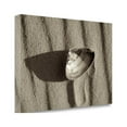 thumbnail image 2 of "Crystal Harbor - 36" By Alan Blaustein, Giclee Print on Gallery Wrap Canvas, 2 of 2