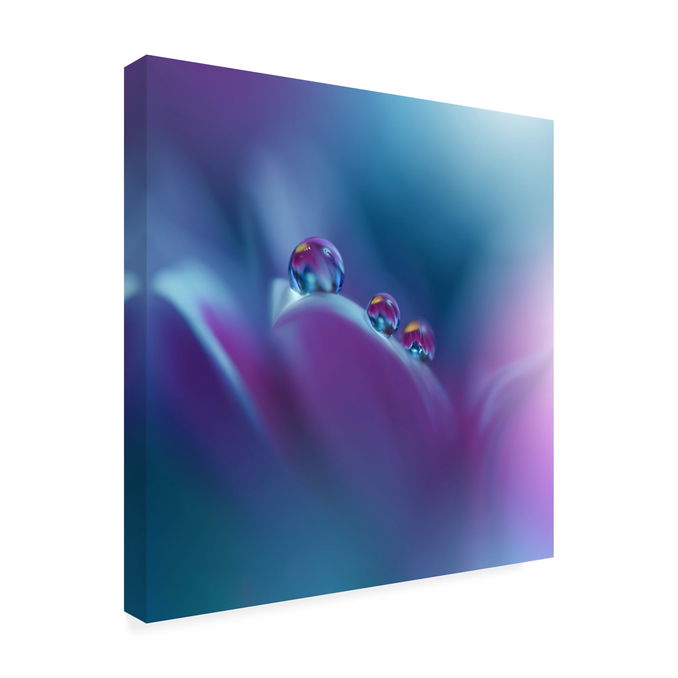 Trademark Fine Art Juliana Nan  Memories of Sea III Canvas Wall Art