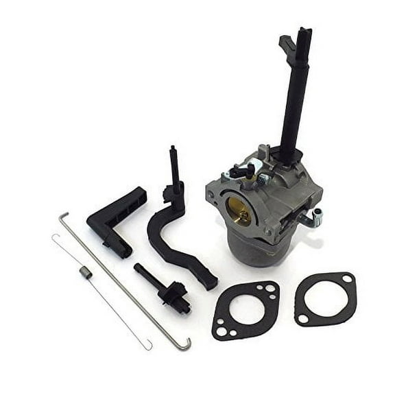 Lumix GC Carburetor For Briggs & Stratton 201437 204412 19L232 19L237 Engine Motors