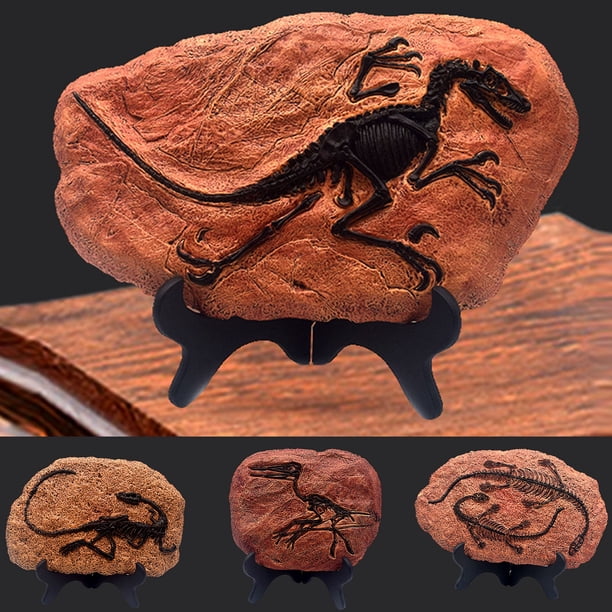 Gwong Decoración hogareña Dinosaurio Fósil Figurine Fácil limpieza encantadora plástica dinosaurio fósil estatua para regalo Gwong 21061049