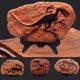 thumbnail image 1 of Gwong Decoración hogareña Dinosaurio Fósil Figurine Fácil limpieza encantadora plástica dinosaurio fósil estatua para regalo Gwong 21061049, 1 of 6