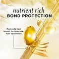 thumbnail image 2 of Pantene Nutrient Blends Fortifiant Réparateur Huile de Ricin Shampooing Sans Sulfate, 2 of 8