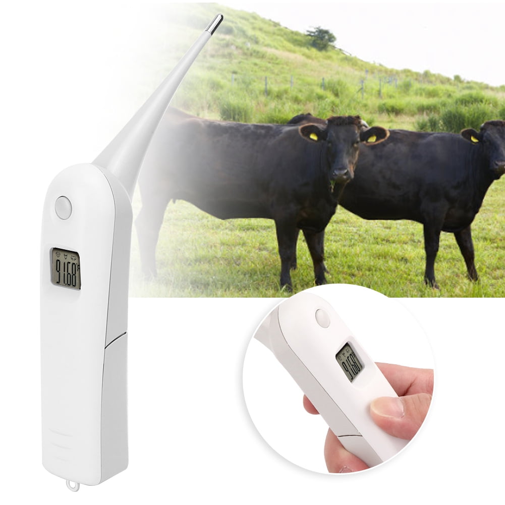 Animal Thermometer Veterinary Electronic Thermometer LCD Digital for Cattle Sheep Horses Pigs Dogs Use