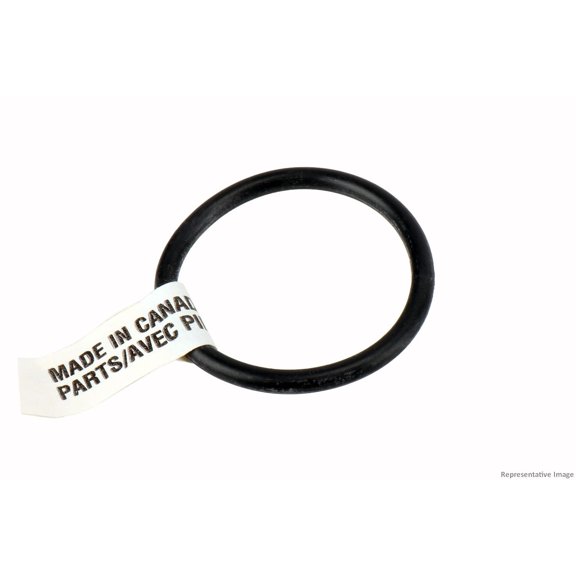 GM Genuine Parts 24100002 Engine Oil Filler Cap O-Ring