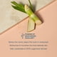 thumbnail image 5 of Protector solar mineral Pipette SPF 50, 2 x 88,7 ml, resistente al agua, 5 of 6