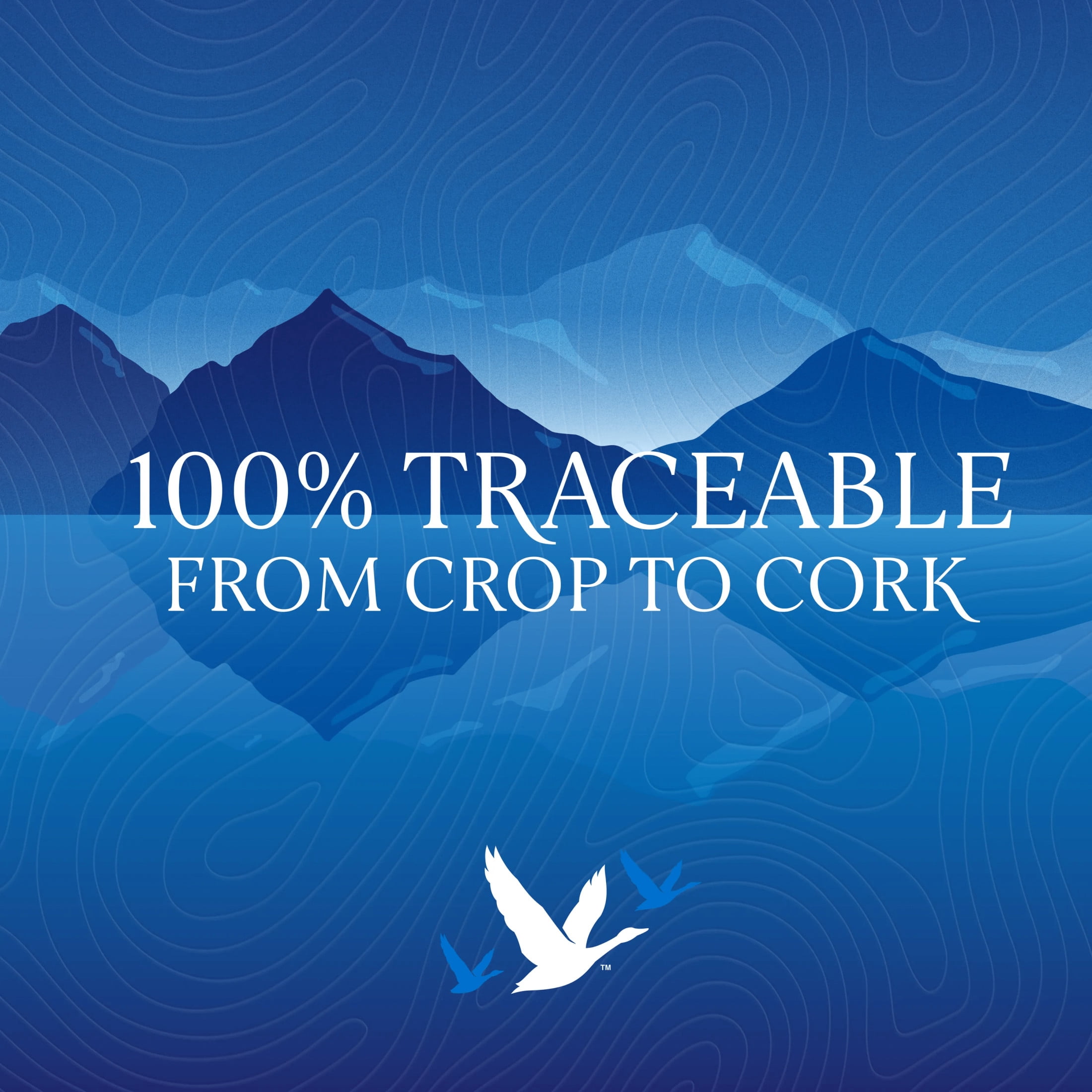 GREY GOOSE Vodka, 750 mL Bottle, ABV 40%