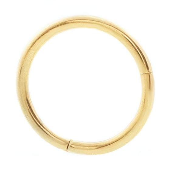 DESIGNICE Seamless Hinged Segment Sleeper Clicker Ring Hoop Ear Lip Nose Septum Piercing Gold