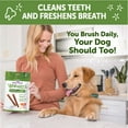 thumbnail image 6 of Wellness WHIMZEES Veggie Sausage Dog Dental Treats, Large Size Stick, (7 Count), 6 of 9