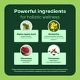 thumbnail image 6 of WellWithAll Glucose Metabolism & Wellness Supplement with Berberine | Supports Energy Balance & Healthy Weight | Natural Metabolic Health Formula – 60 Tablets, 6 of 8