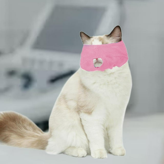 BELOVING Pet Eye Anti Bite Excellent Protection Multifunction Cat Eye Patch S and pink