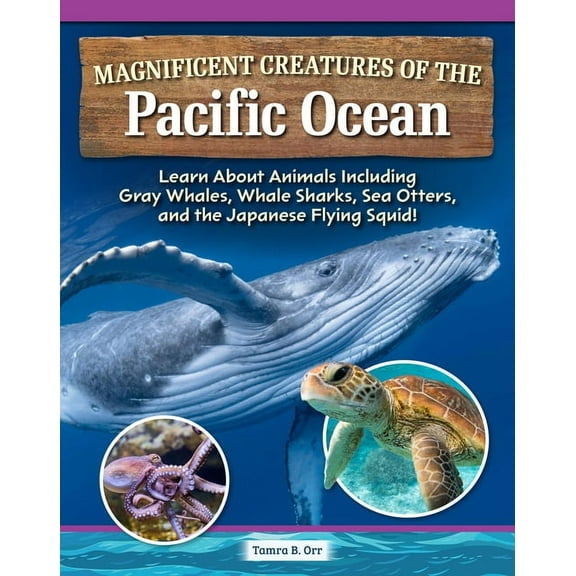 Magnificent Creatures of the Pacific Ocean: Learn about Animals Including Gray Whales, Whale Sharks, Sea Otters, and the, (Hardcover)