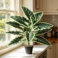 thumbnail image 6 of Artificial Money Tree Potted Plant Large Faux Greenery Fake Plant for Garden Porch Office Home Indoor Outdoor Decor, 6 of 6