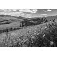thumbnail image 2 of The Yellowstone Collection 32x23 Black Ornate Wood Framed with Double Matting Museum Art Print Titled - Wildflowers in Lamar Valley, Yellowstone National Park, 2 of 4