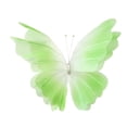 thumbnail image 1 of Mariposa de gasa decorativa para pared, enorme mariposa artificial de seda para ventana Verde, 1 of 9