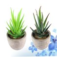 thumbnail image 4 of FENGGUIQU 2Ud Plantas Suculentas Artificiales De Plástico Para En Y Oficina, 4 of 8