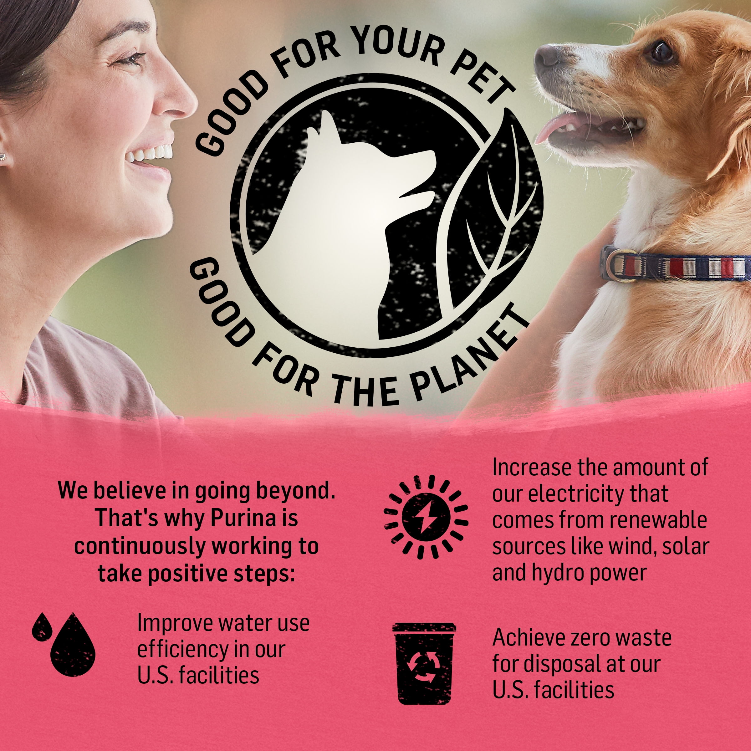 Purina beyond superfood blend dog food sale
