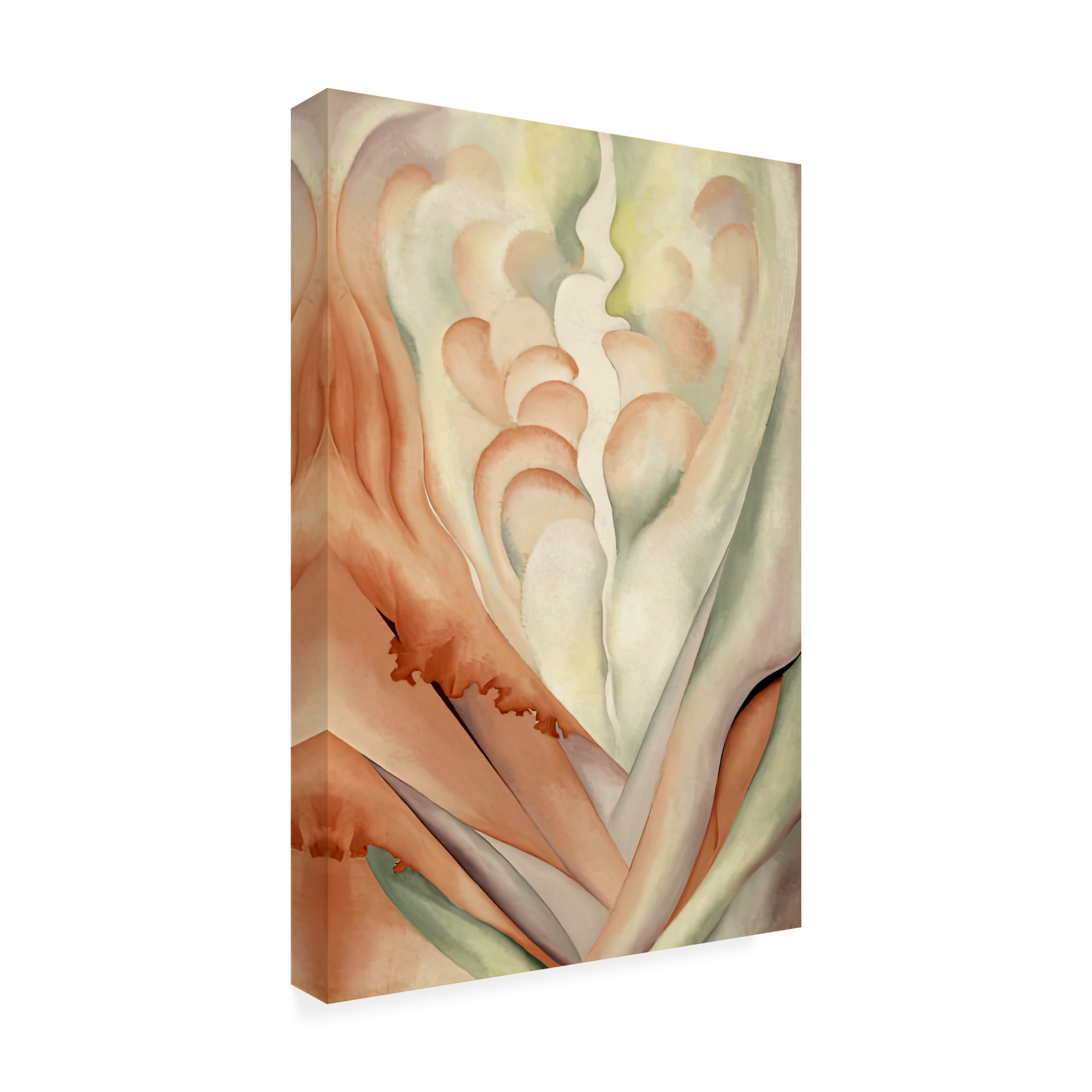 Canvas Wall Art - Vintage Apple Collection 'OKeefe Flower Abstraction' Wall Art for Living Room, Bedroom, or Office Décor by Trademark Fine Art - 30 x 47 Inches