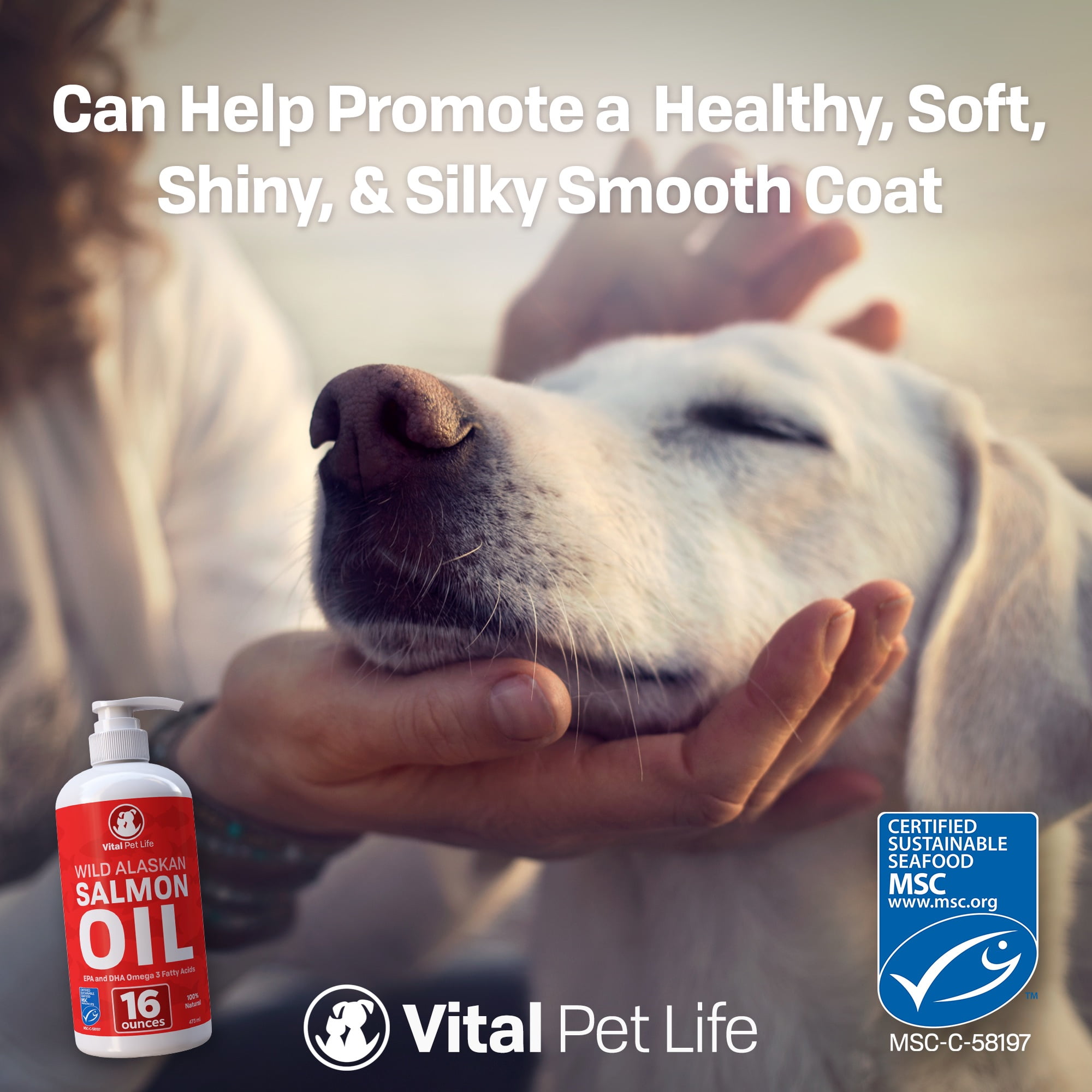 Is Omega 3 Bad For Dogs