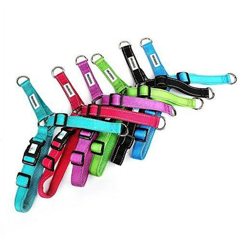 Dexdog hot sale