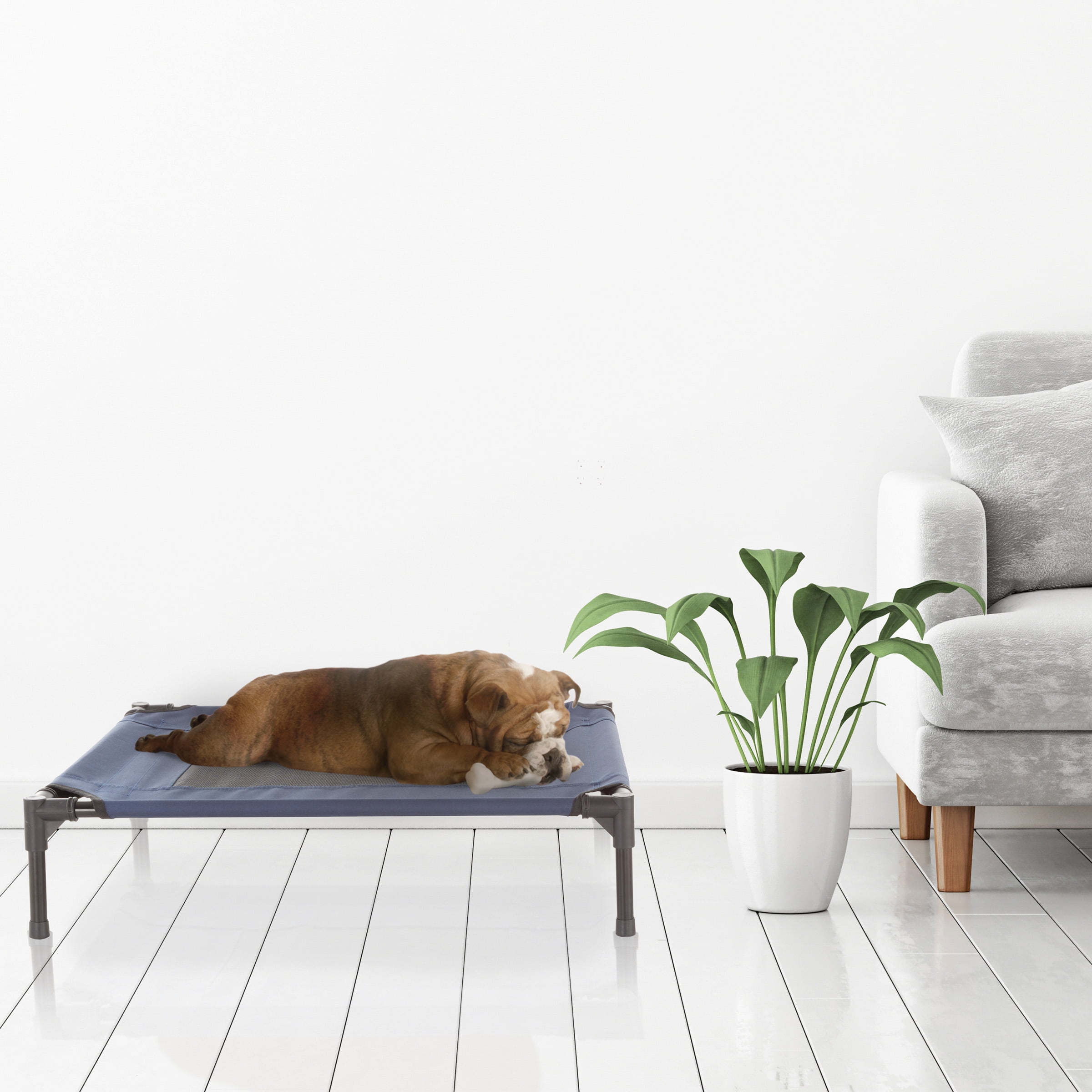 PETMAKER 30x24-Inch Elevated Dog Bed - Indoor/Outdoor Cot for Pets (Blue)