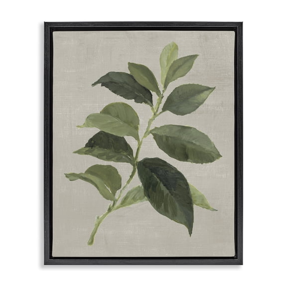 Stupell Industries Arabica Coffee Plant Leaf Floral Painting Black Floater Framed Canvas Art Print Wall Art, 17 x 21