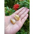 thumbnail image 2 of Citrine Tumbled Stones, Polished Citrine Gemstone, Citrine Healing Crystals (Citrine, 3 Pound), 2 of 8
