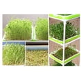 thumbnail image 5 of Macetas hidropónicas de trigo, plántulas sobre papel, bandejas de brotes de doble capa para bandejas de plantación de brotes de verduras ((bandeja pequeña para brotes, rosa) 3 piezas), 5 of 5
