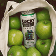 thumbnail image 6 of Lucky Energy Sugar Free Energy Drinks 16 fl oz Can, OG Luck with Maca, Ginseng, Taurine, Beta-Alanine, 200mg Caffeine, Zero Calories, 6 of 6