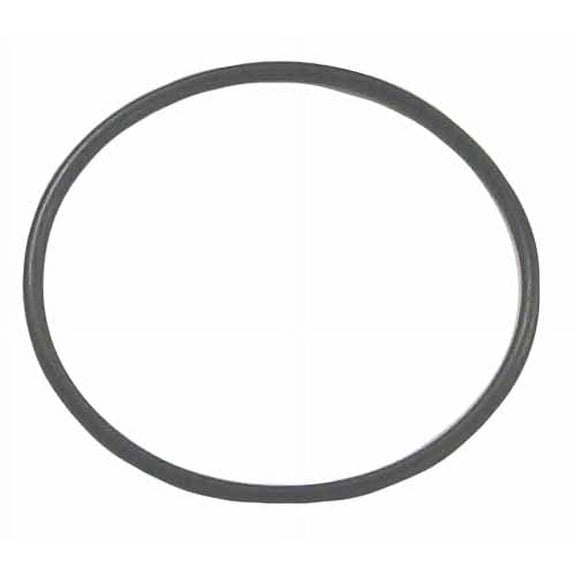 Sierra 18-7121; O Ring OMC 308621 55-233