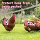 thumbnail image 3 of Ganfancp 2022 Silla de Aves para Gallinas Delantal de Pollo con Correa Elástica Chaqueta de Pollo con Correa Protector de Aves Fijador de Plumas de Gallina Elegante Disfraz para Espectáculos Ajuste L, 3 of 5
