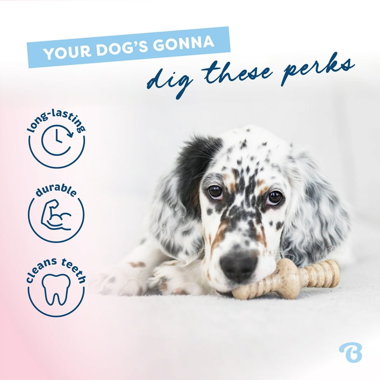 Benebone Puppy 2-Pack Maplestick/Zaggler Durable Dog Chew Toys for