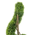 thumbnail image 4 of Northlight 4.7' Unlit Artificial Potted Two-Tone Boxwood Spiral Topiary Tree, 4 of 5