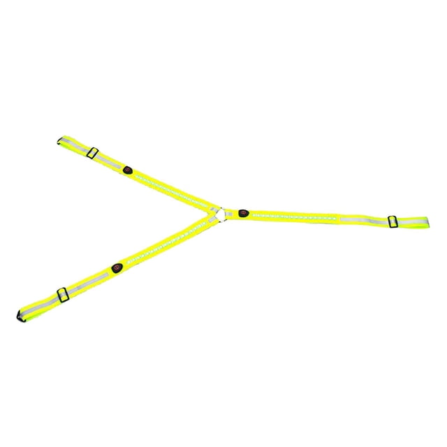 Arnés de pecho con cuello Halter de coraza de caballo con LED brillante, cabestro de brida seguro USB Zulema Collar de coraza de caballo