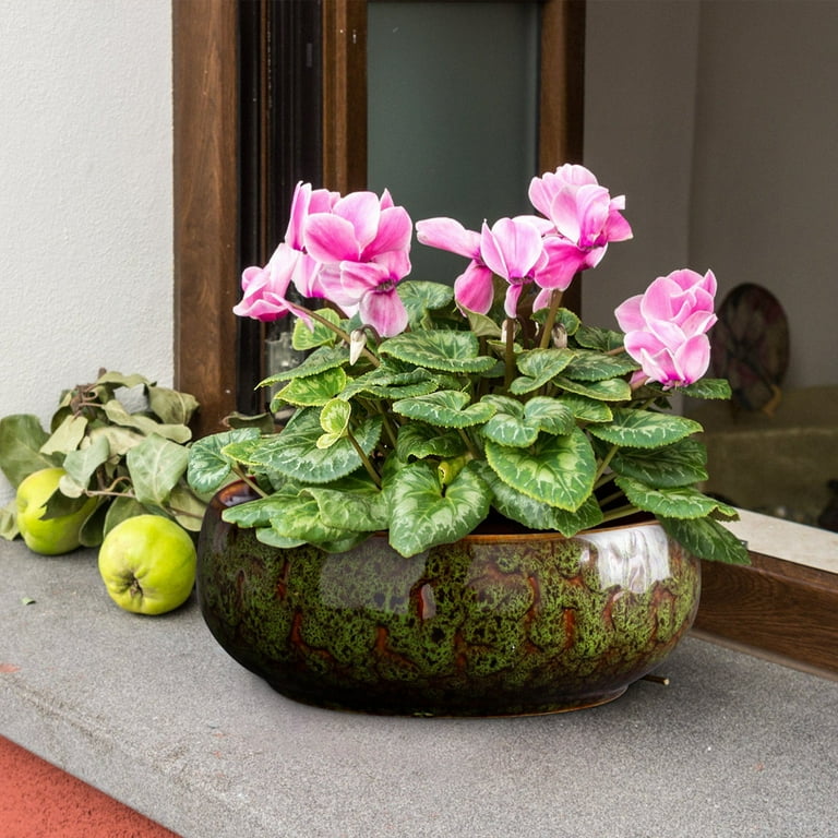 CSSAD Lotus Bowl Planter, Ceramic Lotus Seeds Bowls for Planting in Water, Lotus  Pots for Water Plant Succulent Plants Hydroponic Plant, Green - Walmart.com