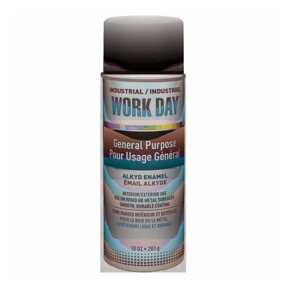 Spray Paint, White, Flat, Solvent, 10 oz A04422007
