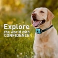 thumbnail image 5 of TILIY Anti Bark Dog Collar Rechargeable Collar Safety Humane Stop Barking 7 Modes(black), 5 of 5